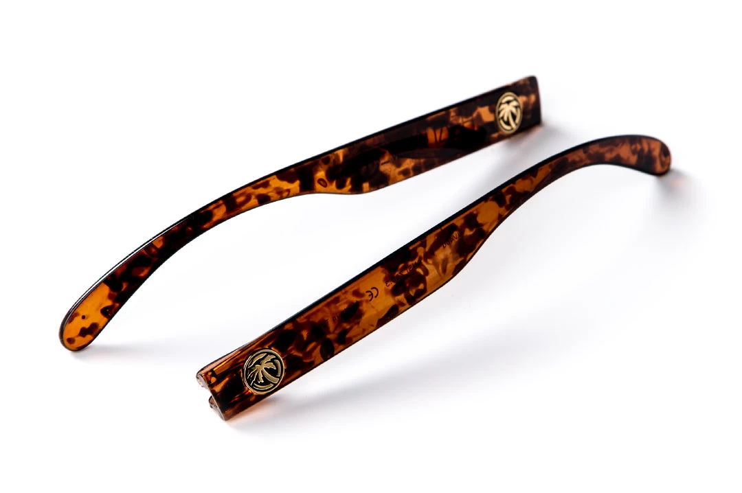 Arms: Tortoise 3 Arms: Tortoise